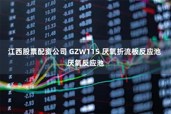江西股票配资公司 GZW115 厌氧折流板反应池 厌氧反应池